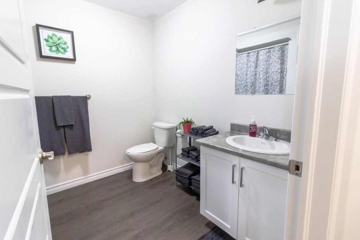 Brand New Gorgeous Condo Near Unb & Hospital Coffee Parking 202 Saint John Ngoại thất bức ảnh